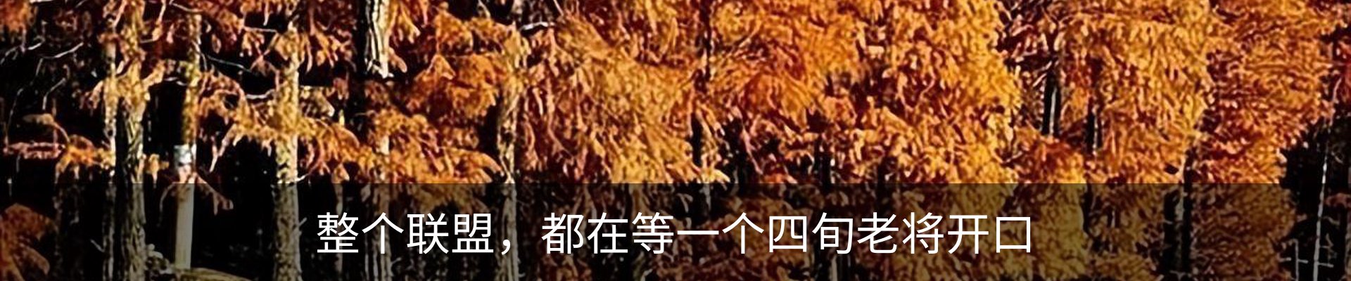 内页banner