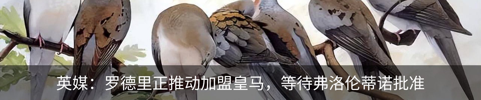 内页banner