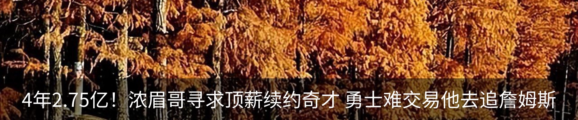 内页banner